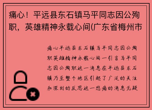 痛心！平远县东石镇马平同志因公殉职，英雄精神永载心间(广东省梅州市平远县东石镇)