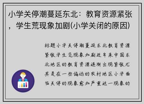 小学关停潮蔓延东北：教育资源紧张，学生荒现象加剧(小学关闭的原因)