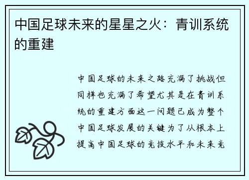 中国足球未来的星星之火：青训系统的重建